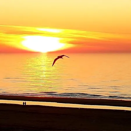 Appartement The Blue Dodo *