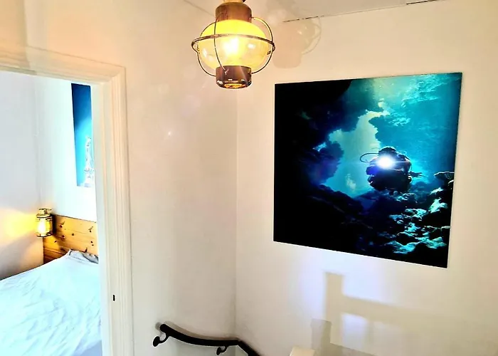 The Blue Dodo Appartement Zandvoort