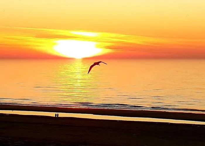 Appartement The Blue Dodo *